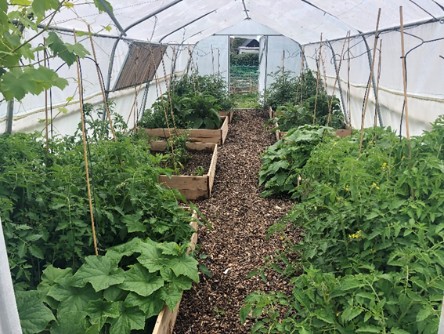 Horticulture and animal care at The Farm